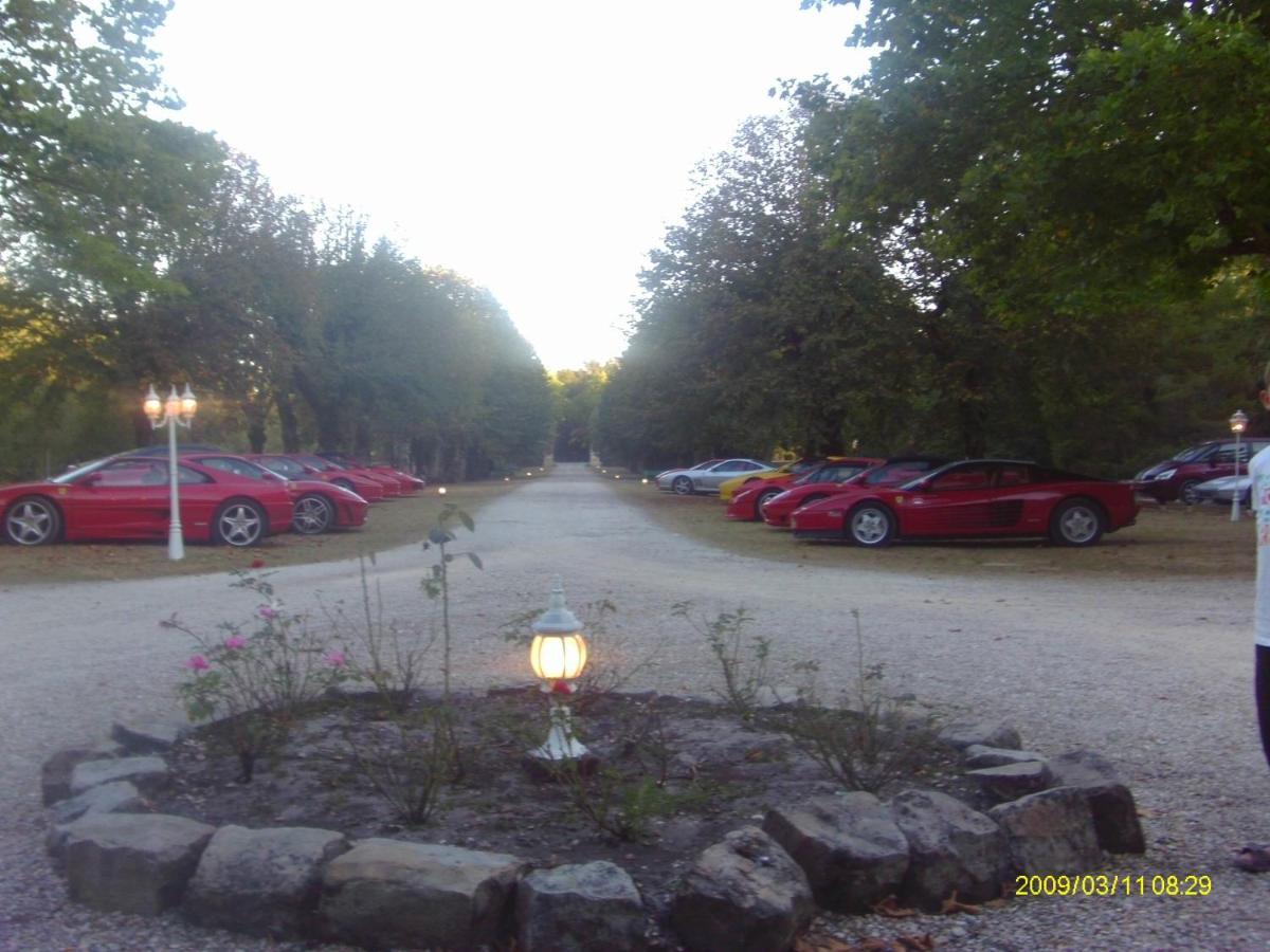 Hotel Logis Domaine De Valaudran Salbris Exterior foto